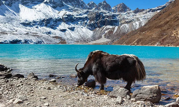 14-Day Nepal Gokyo Lake Trek