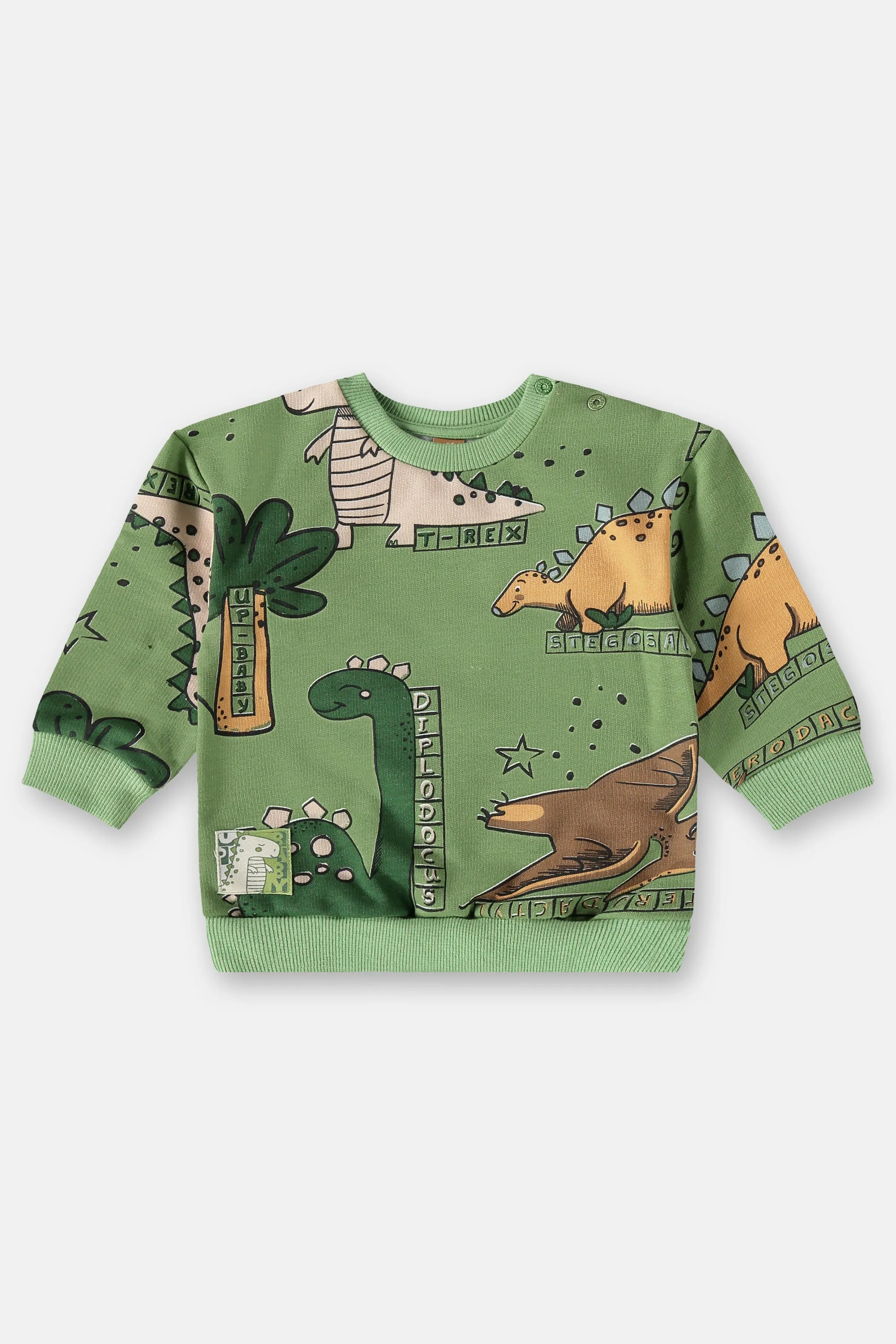 2 Piece Boys Dino Sweatshirt & Sweatpants