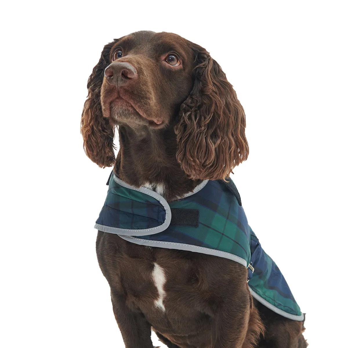 Barbour Wetherham Tartan Dog Coat