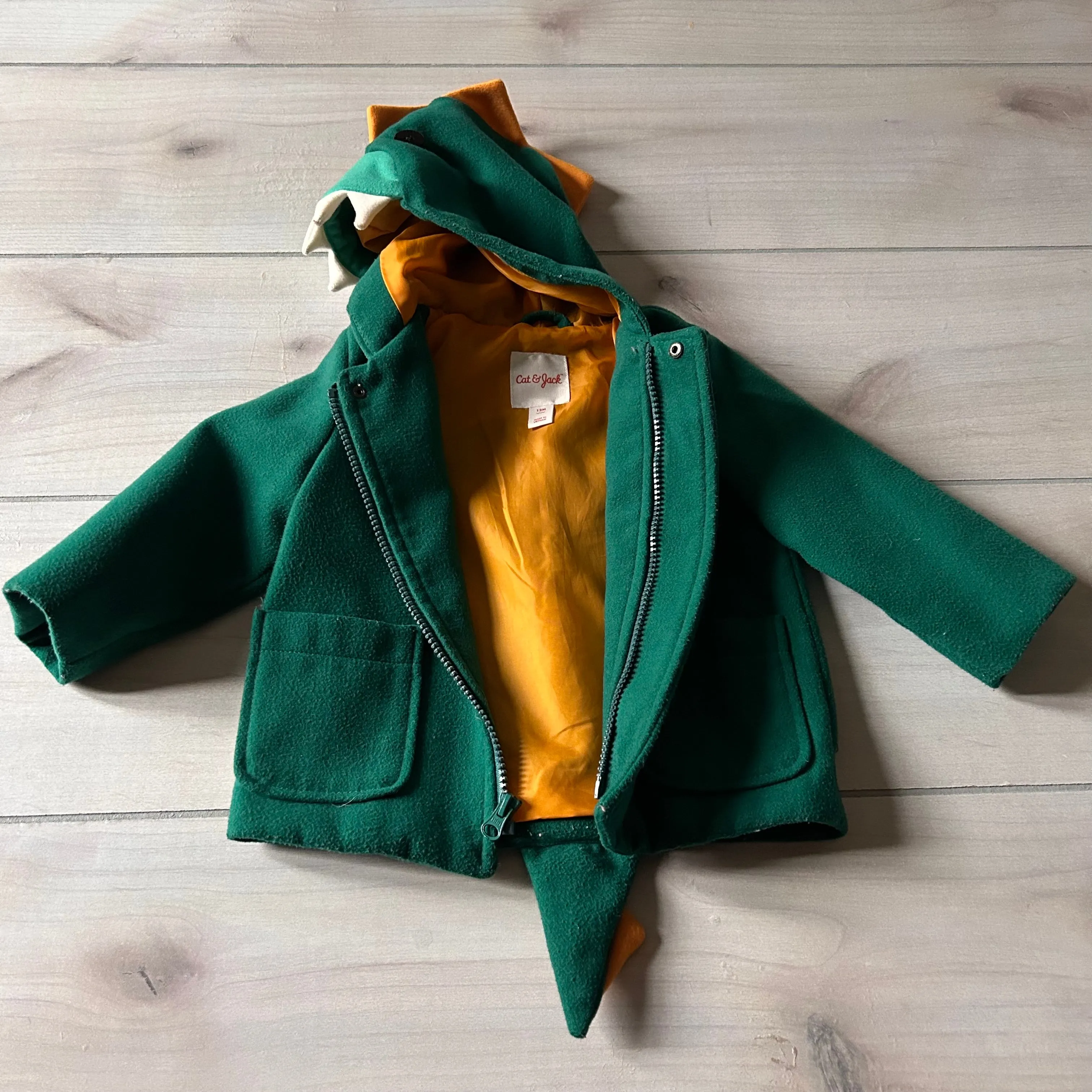 Cat & Jack Dinosaur Jacket