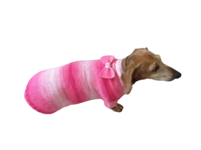 Clothes sausage dog pink sweater with bow, knitted pink sweater with bow for dog