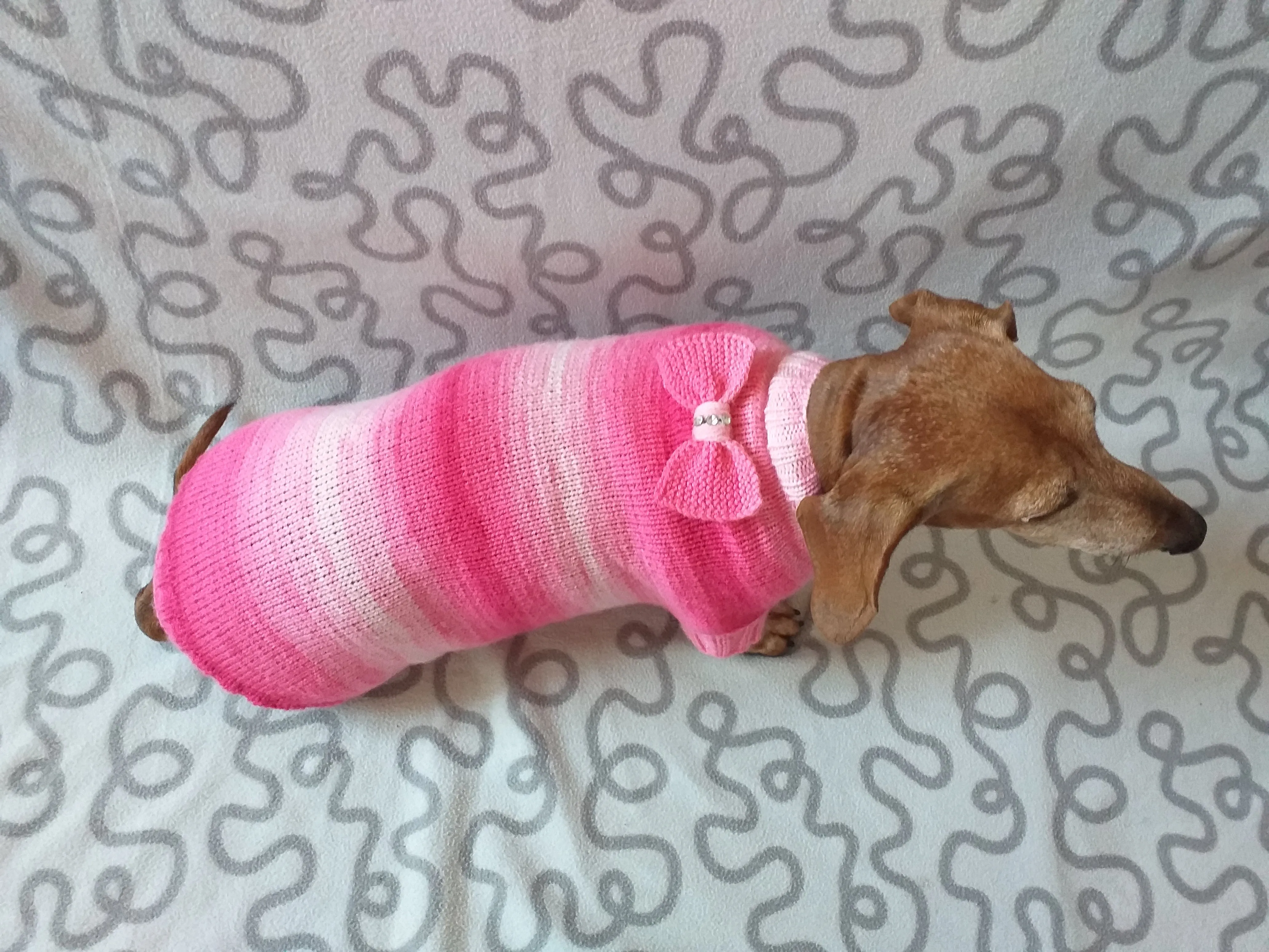 Clothes sausage dog pink sweater with bow, knitted pink sweater with bow for dog