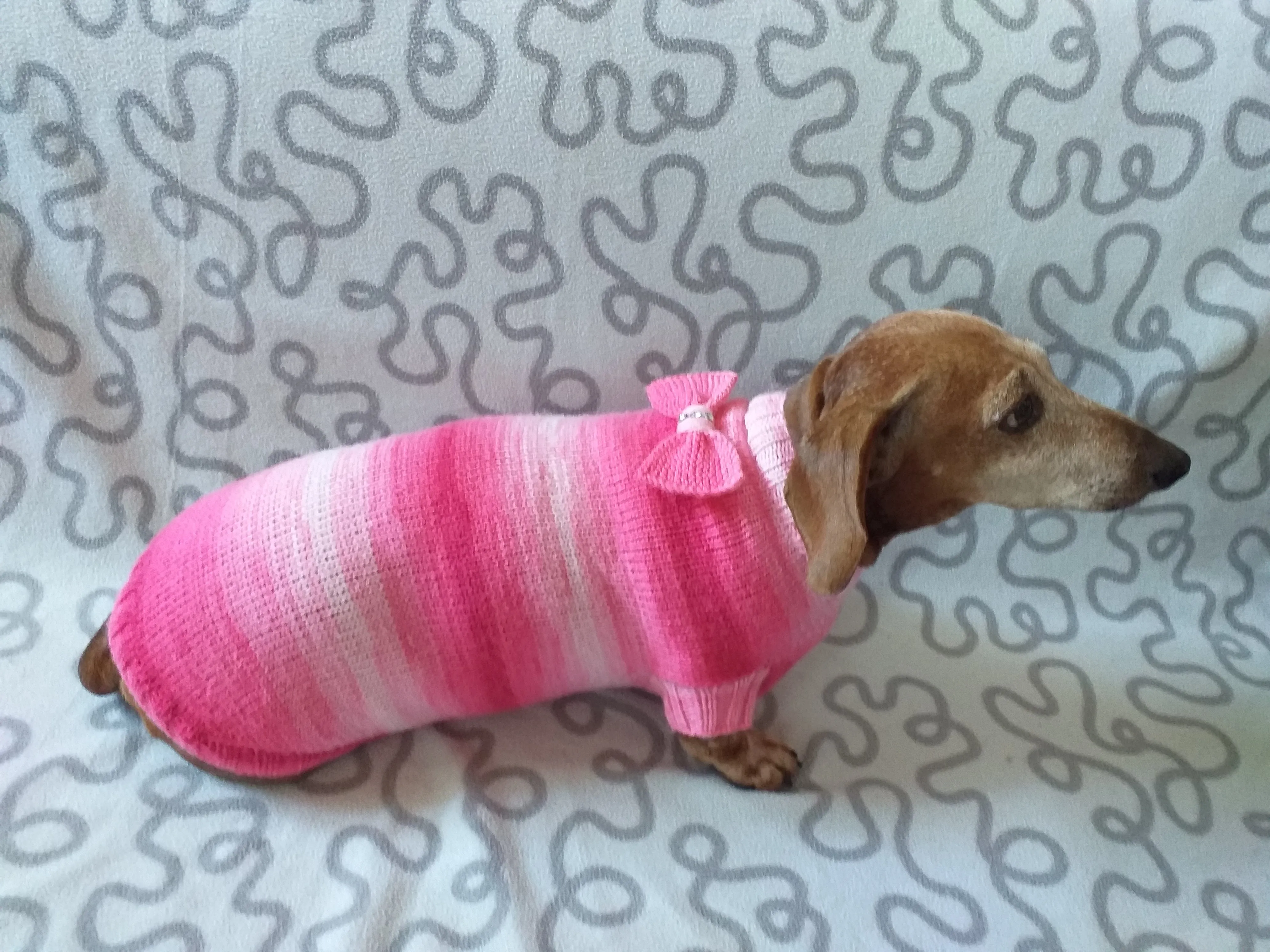 Clothes sausage dog pink sweater with bow, knitted pink sweater with bow for dog