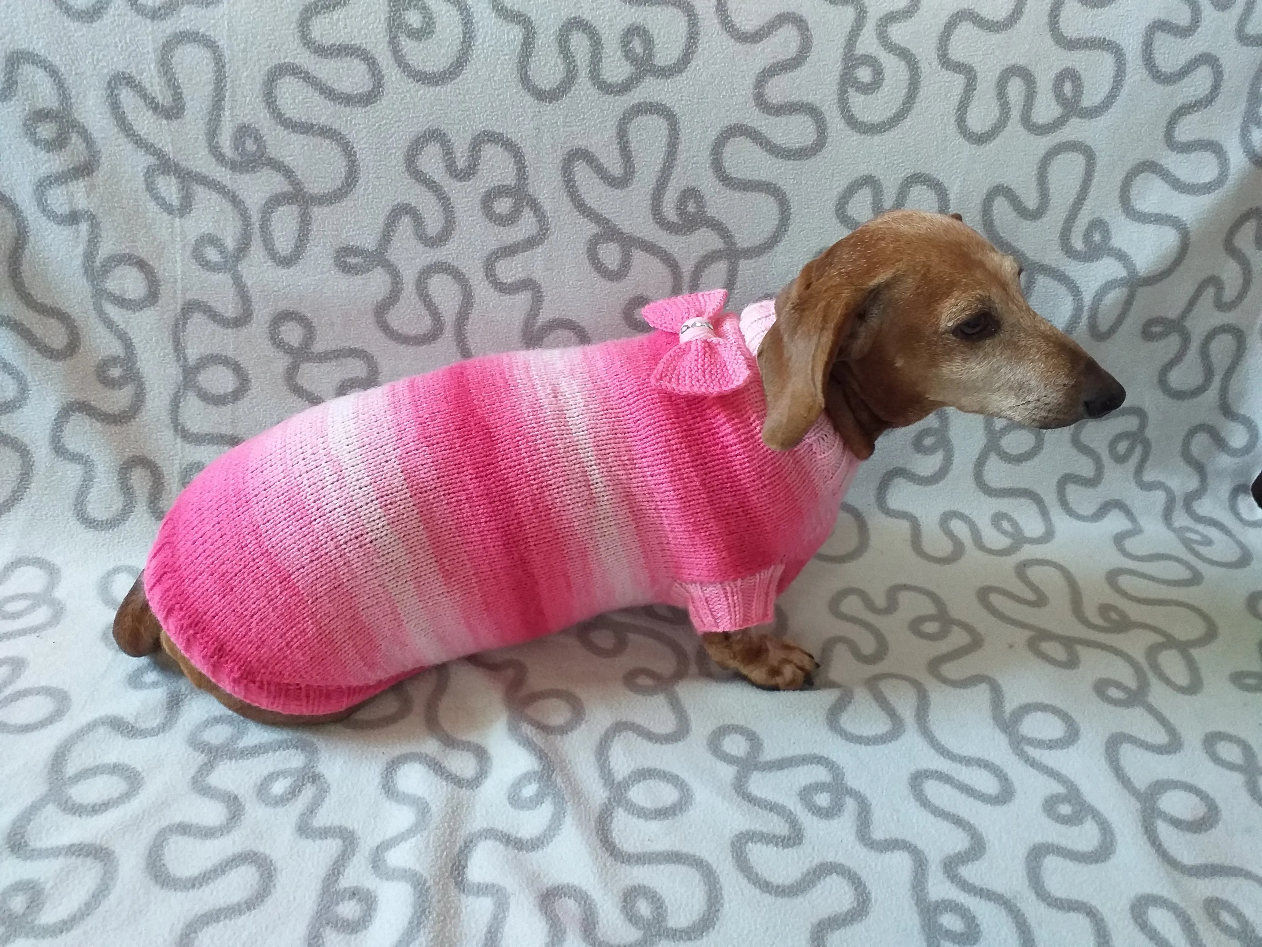 Clothes sausage dog pink sweater with bow, knitted pink sweater with bow for dog