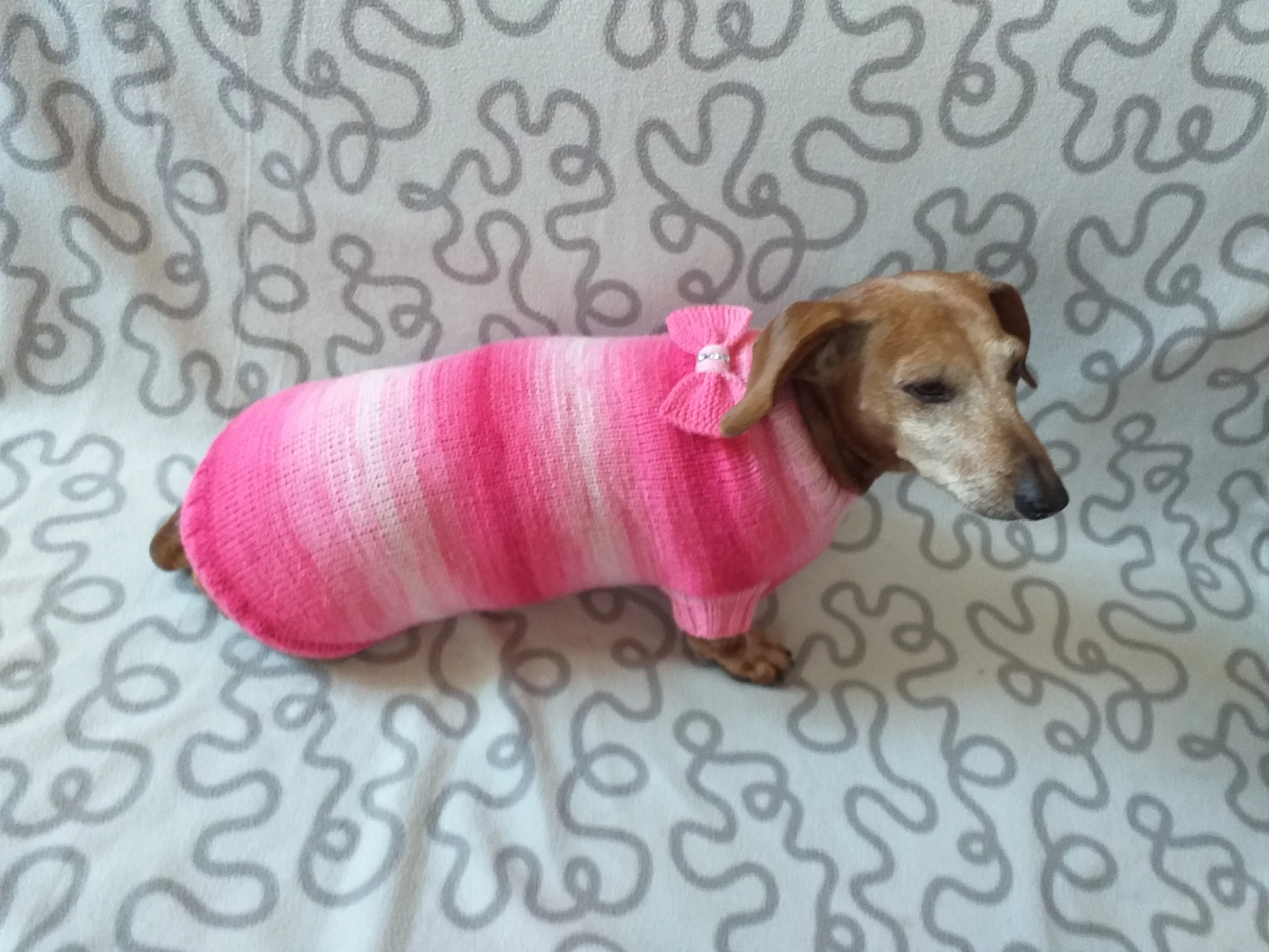 Clothes sausage dog pink sweater with bow, knitted pink sweater with bow for dog