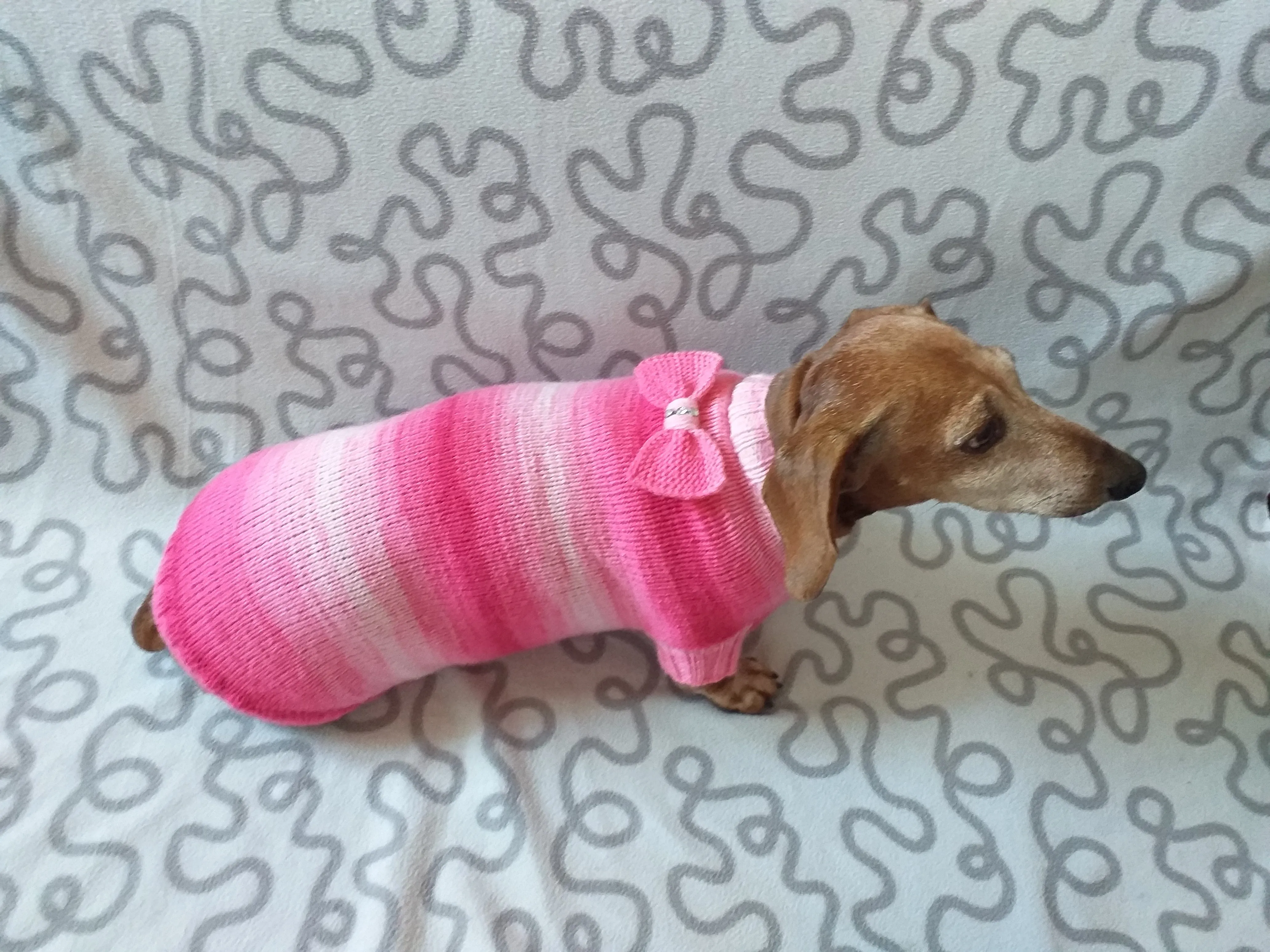 Clothes sausage dog pink sweater with bow, knitted pink sweater with bow for dog