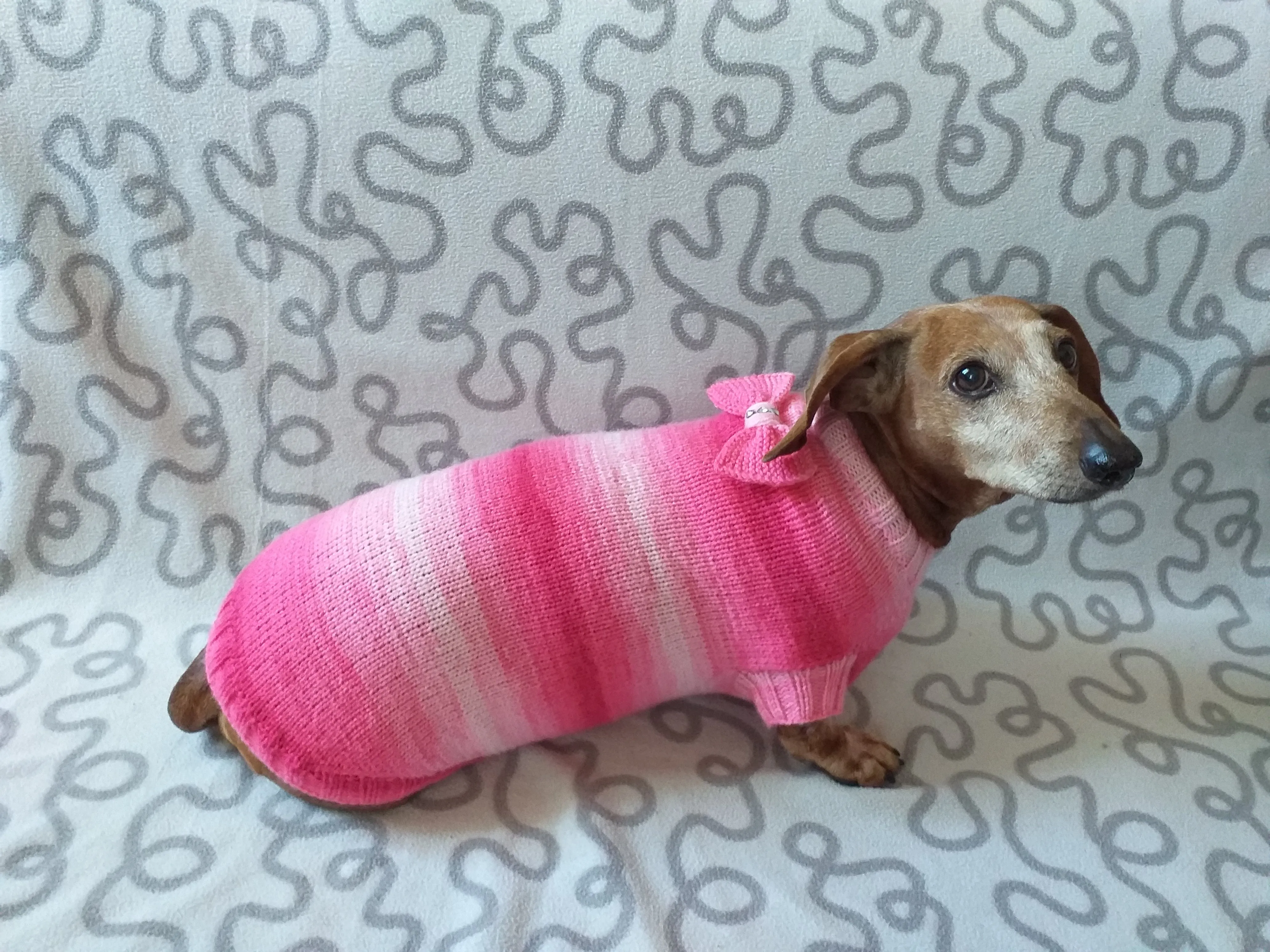 Clothes sausage dog pink sweater with bow, knitted pink sweater with bow for dog