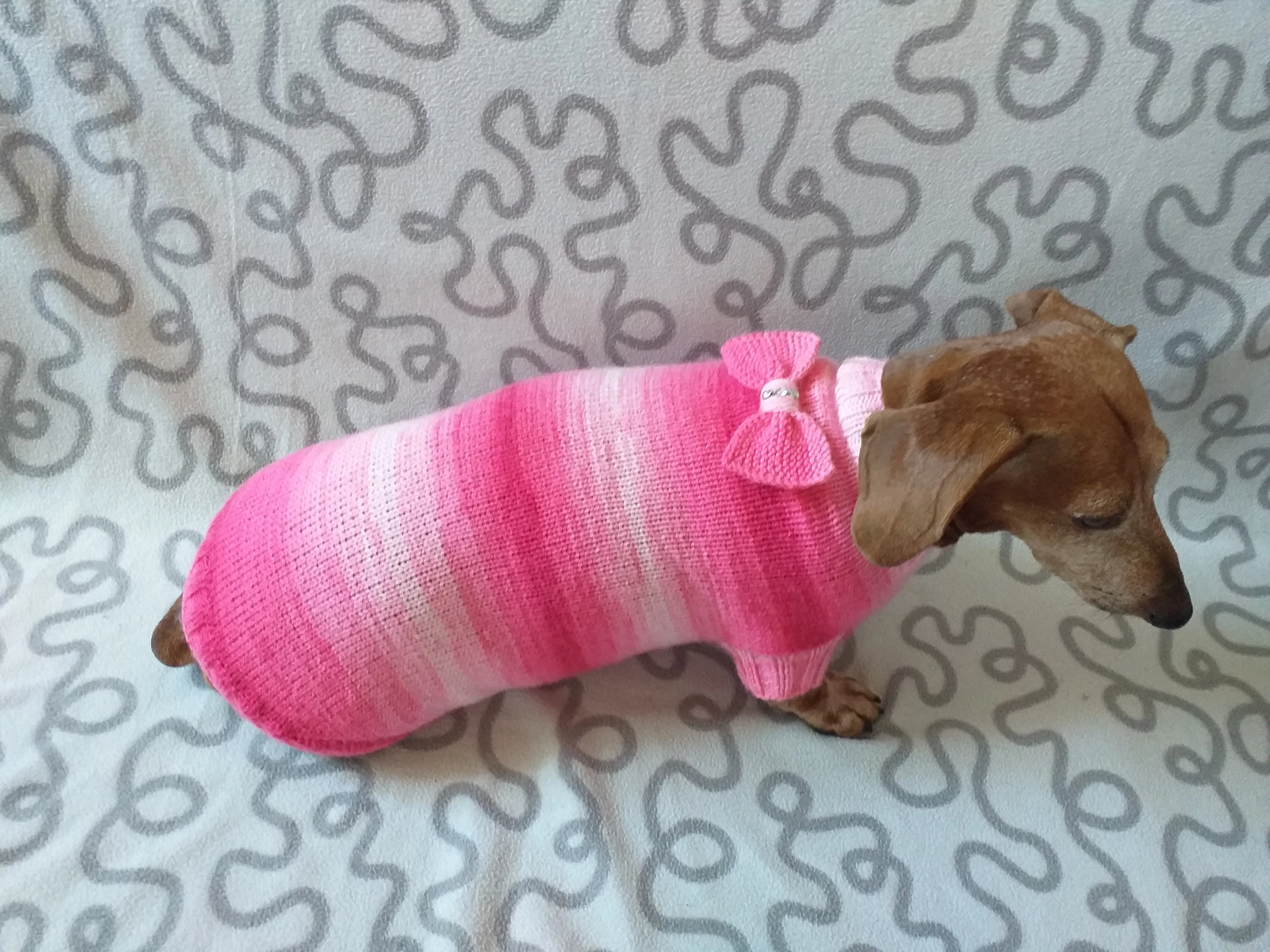 Clothes sausage dog pink sweater with bow, knitted pink sweater with bow for dog