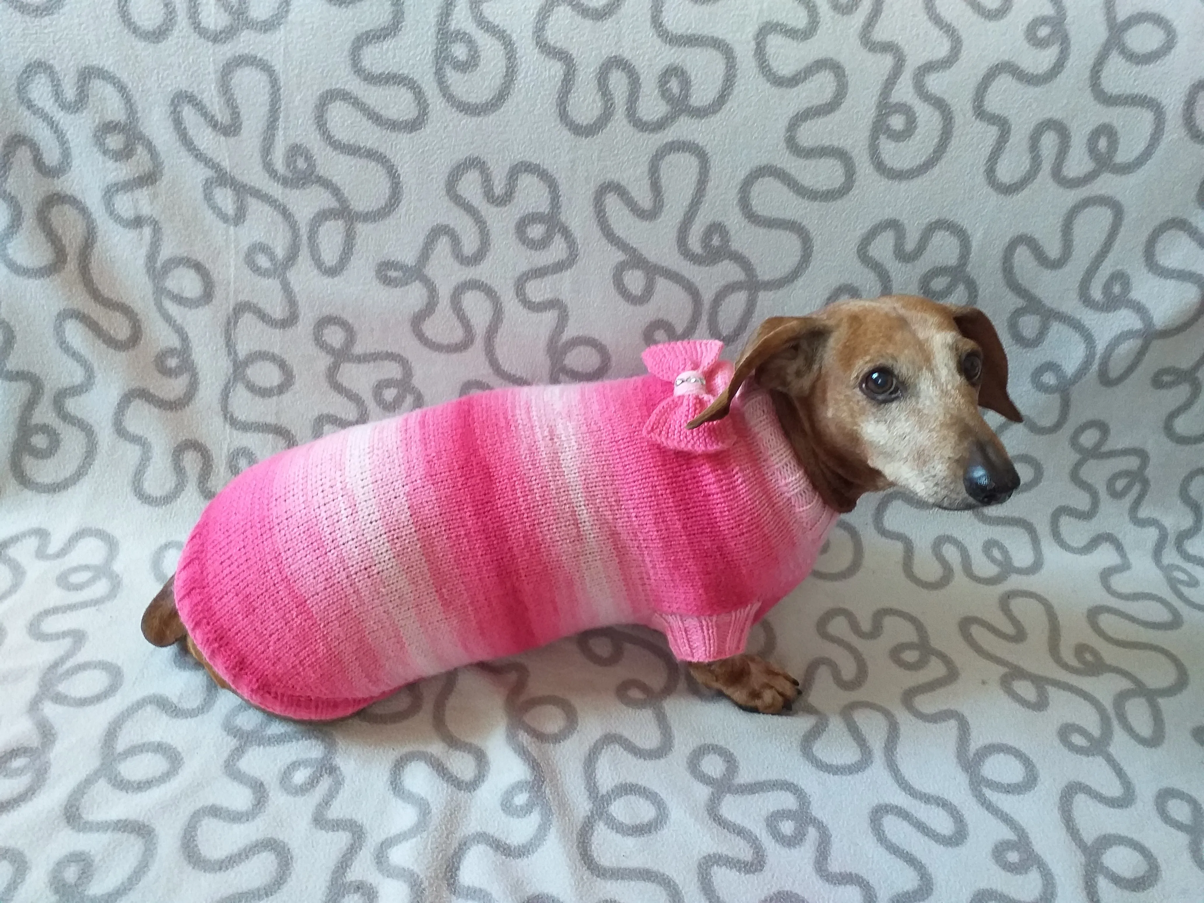 Clothes sausage dog pink sweater with bow, knitted pink sweater with bow for dog