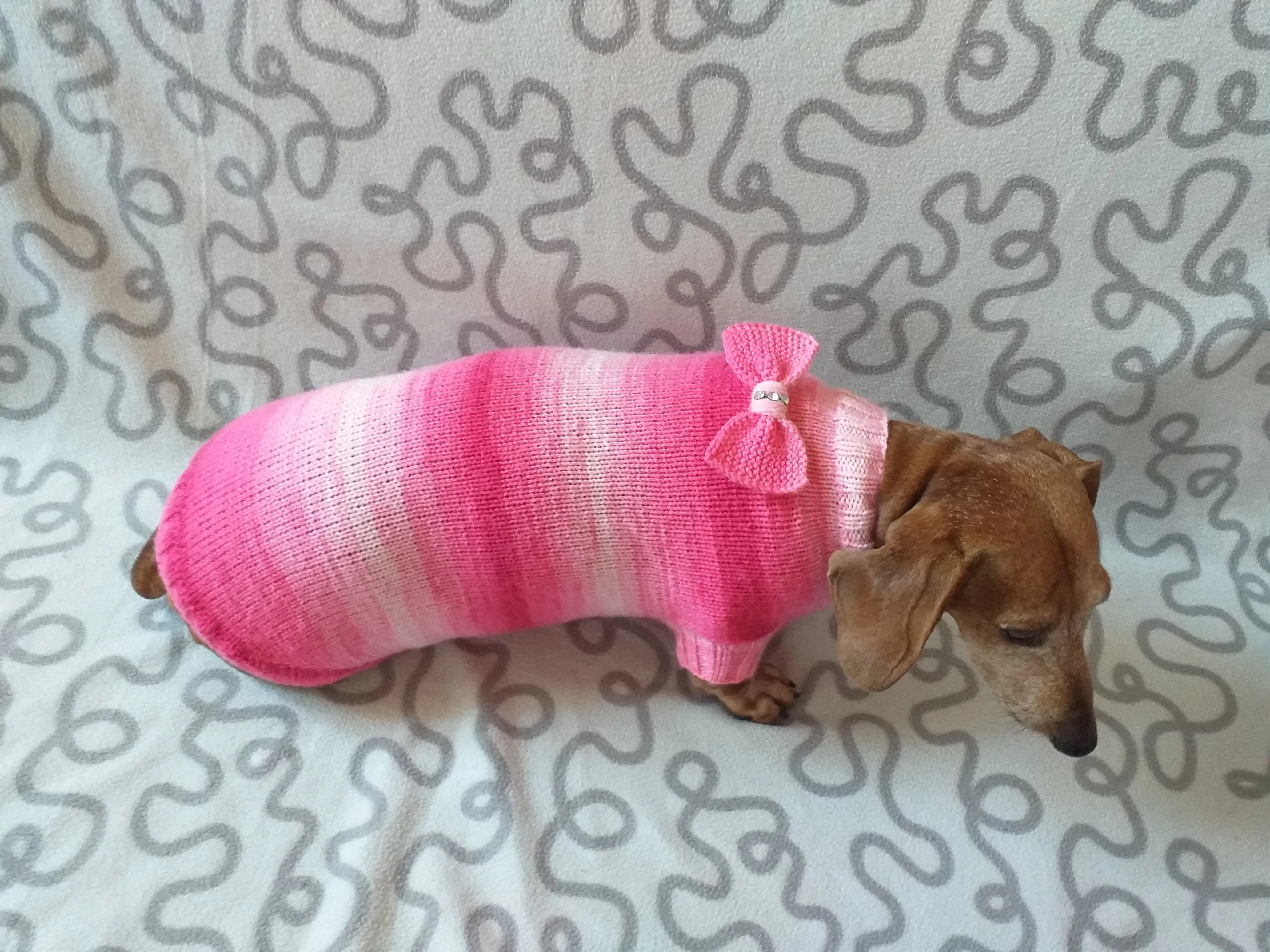 Clothes sausage dog pink sweater with bow, knitted pink sweater with bow for dog