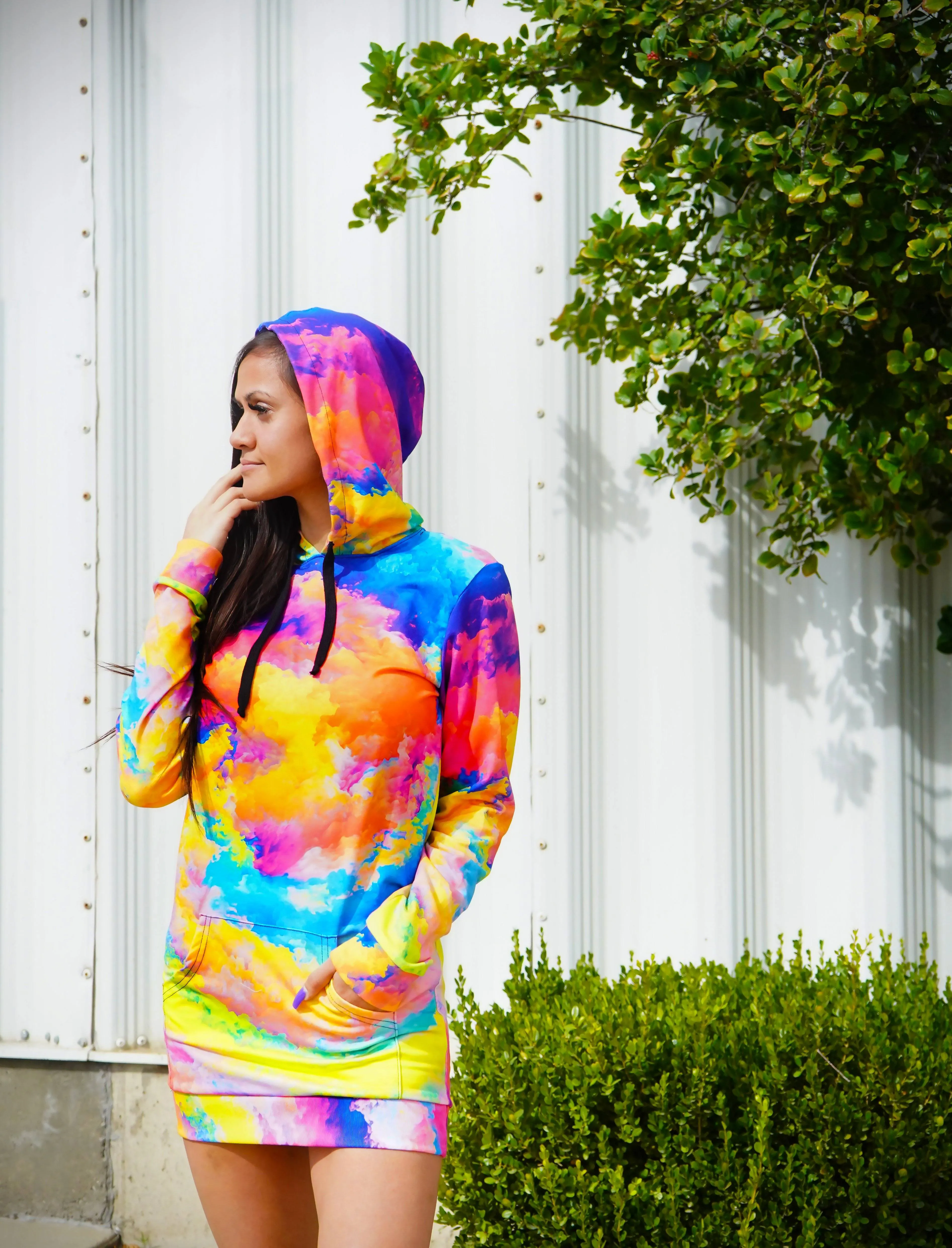 Color Storm Hooded Dress