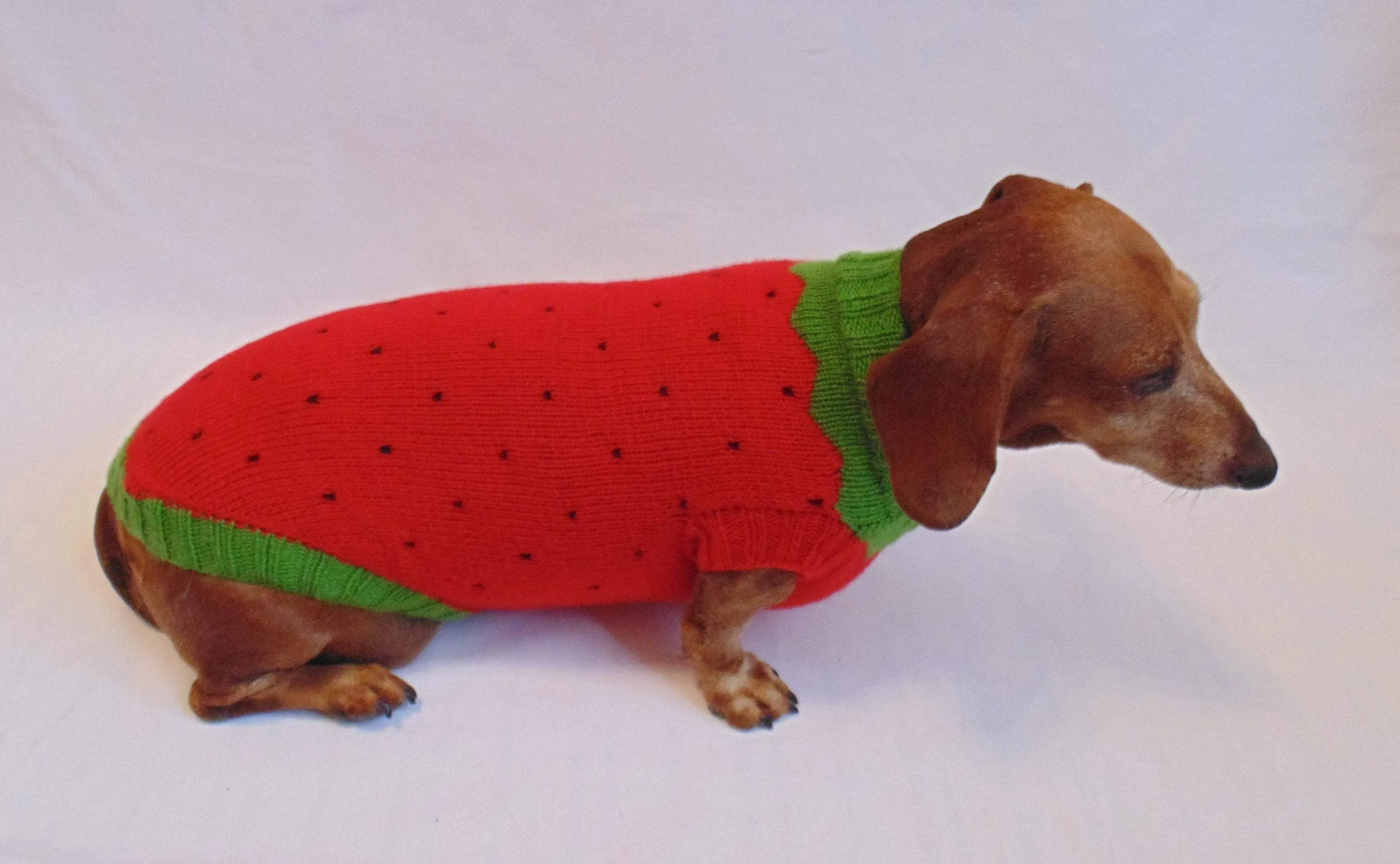 Knitted sweater strawberry for dogs, clothes for dachshunds