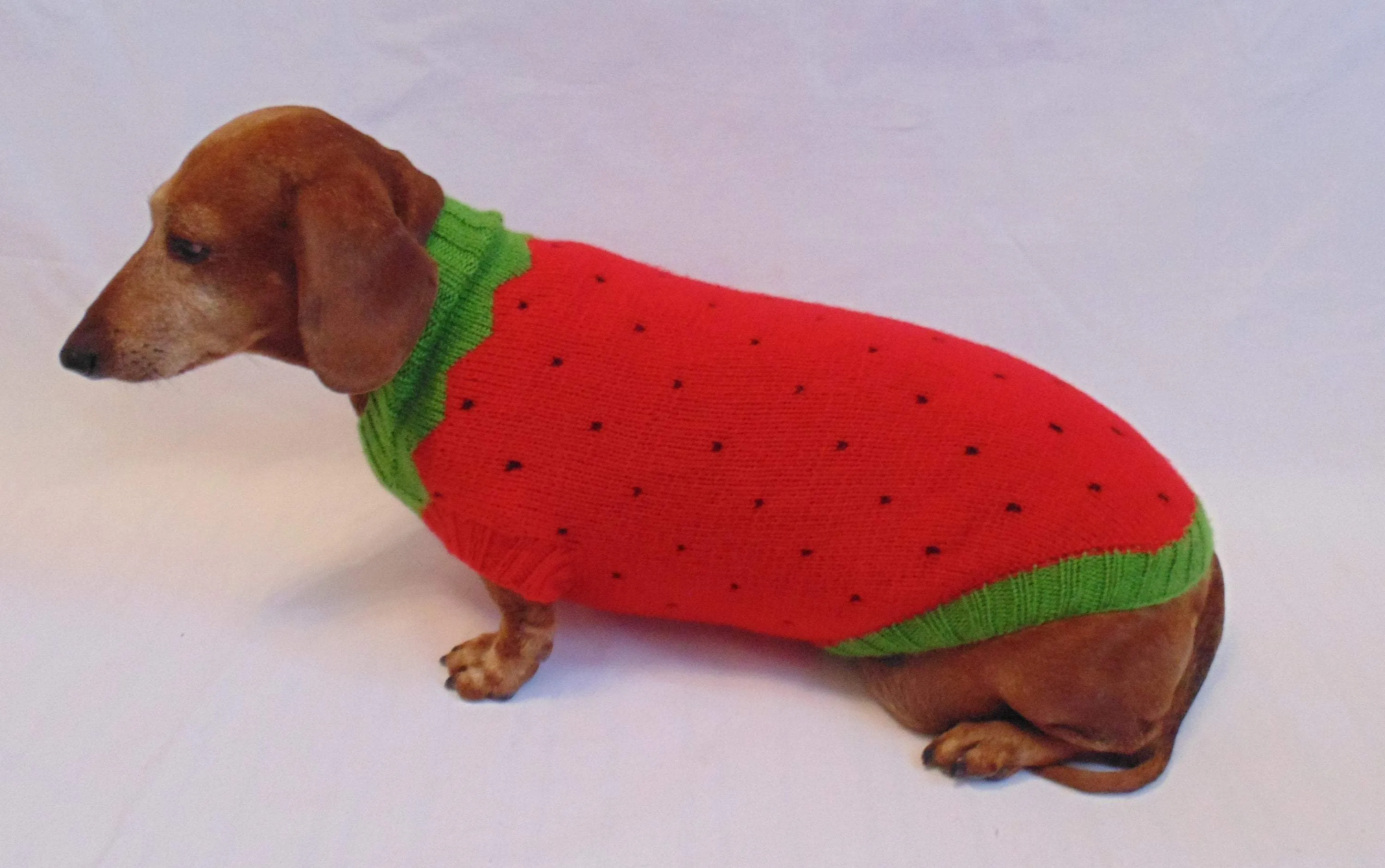 Knitted sweater strawberry for dogs, clothes for dachshunds