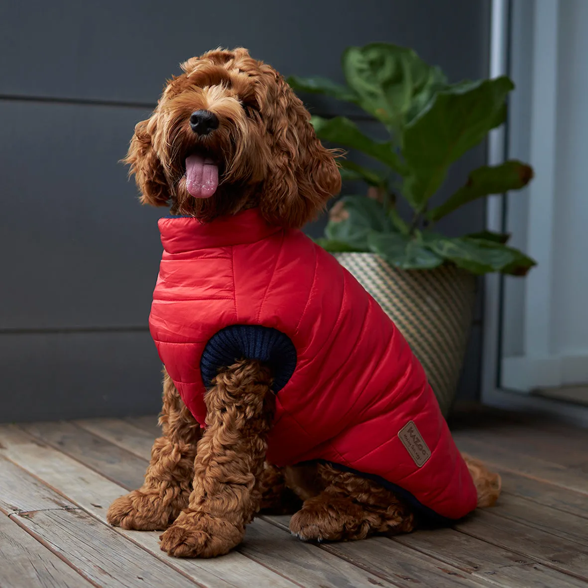 Reversible Puffer Dog Jacket - Red & Blue