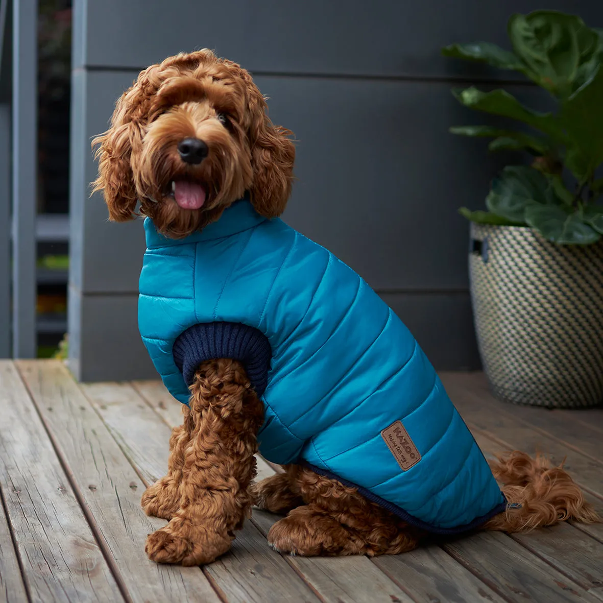 Reversible Puffer Dog Jacket - Red & Blue