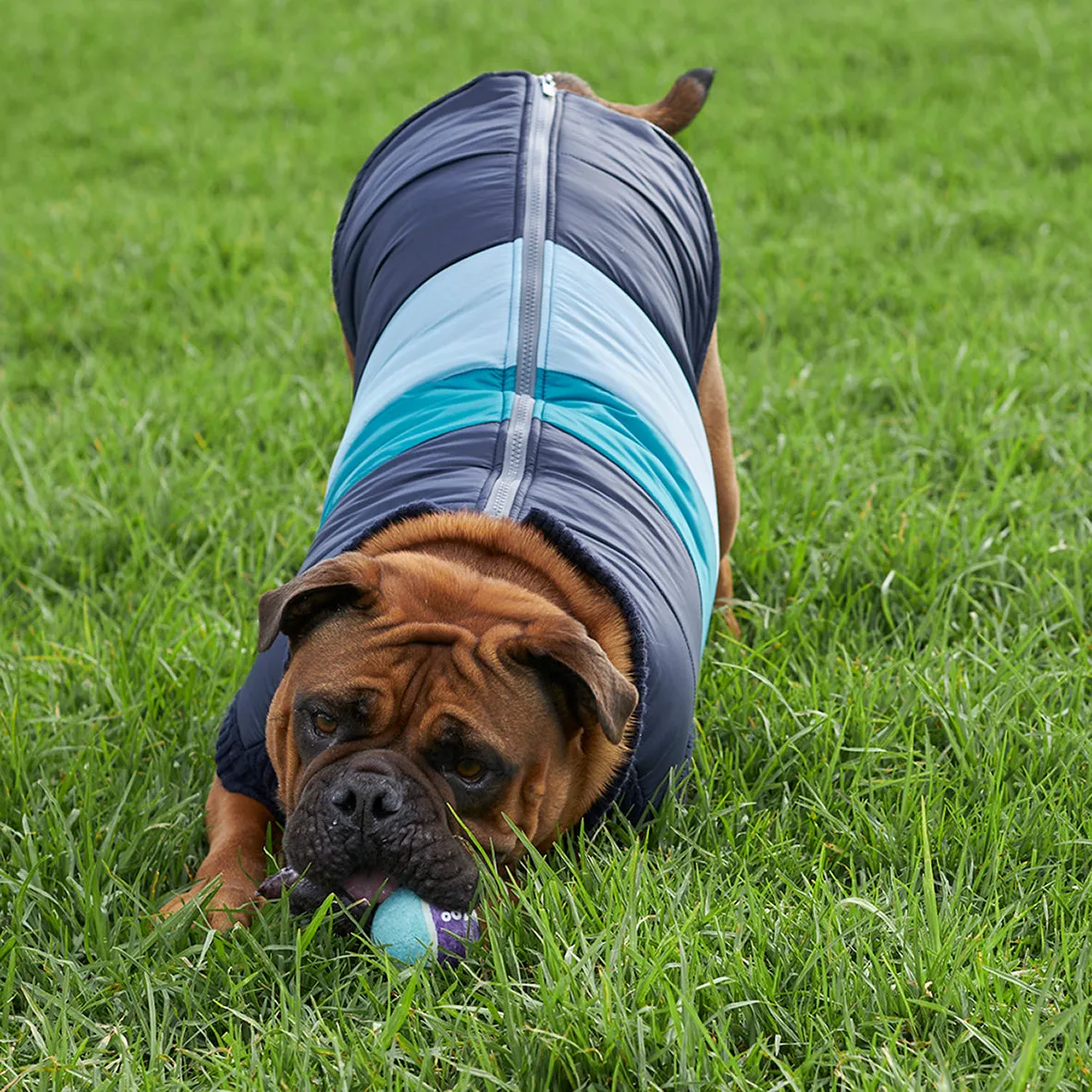 Vovo Dog Puffer Jacket - Sky