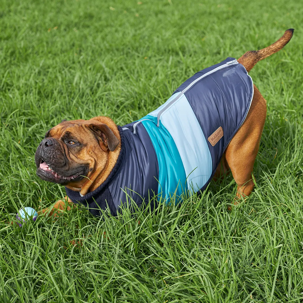 Vovo Dog Puffer Jacket - Sky