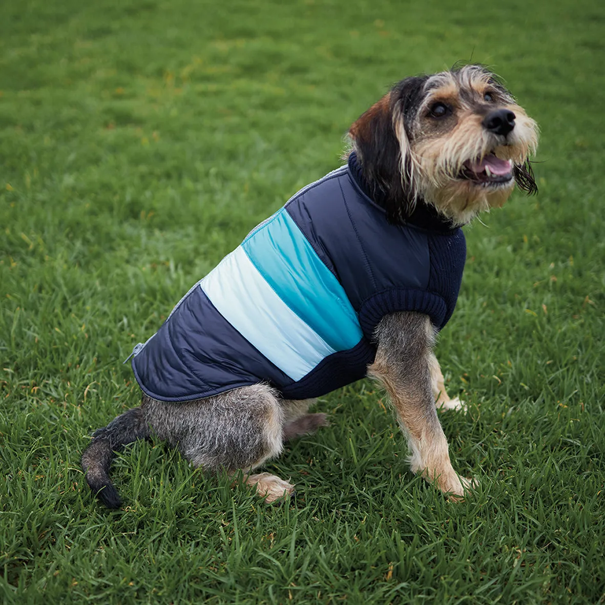 Vovo Dog Puffer Jacket - Sky