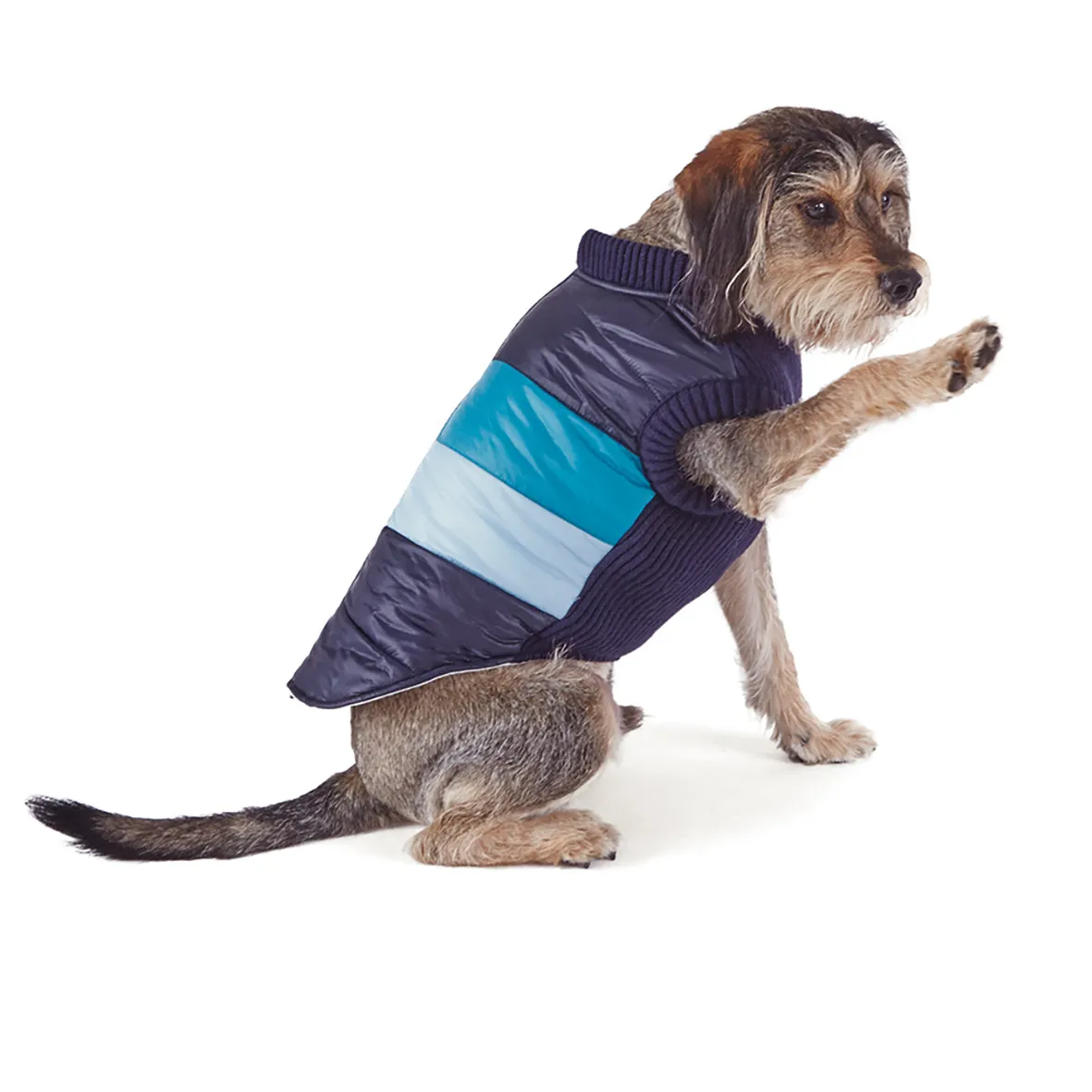 Vovo Dog Puffer Jacket - Sky