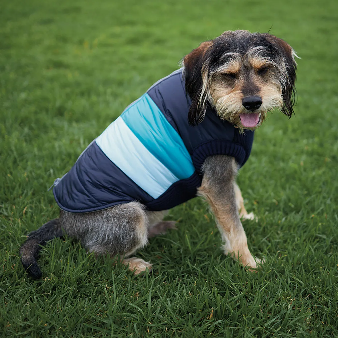 Vovo Dog Puffer Jacket - Sky