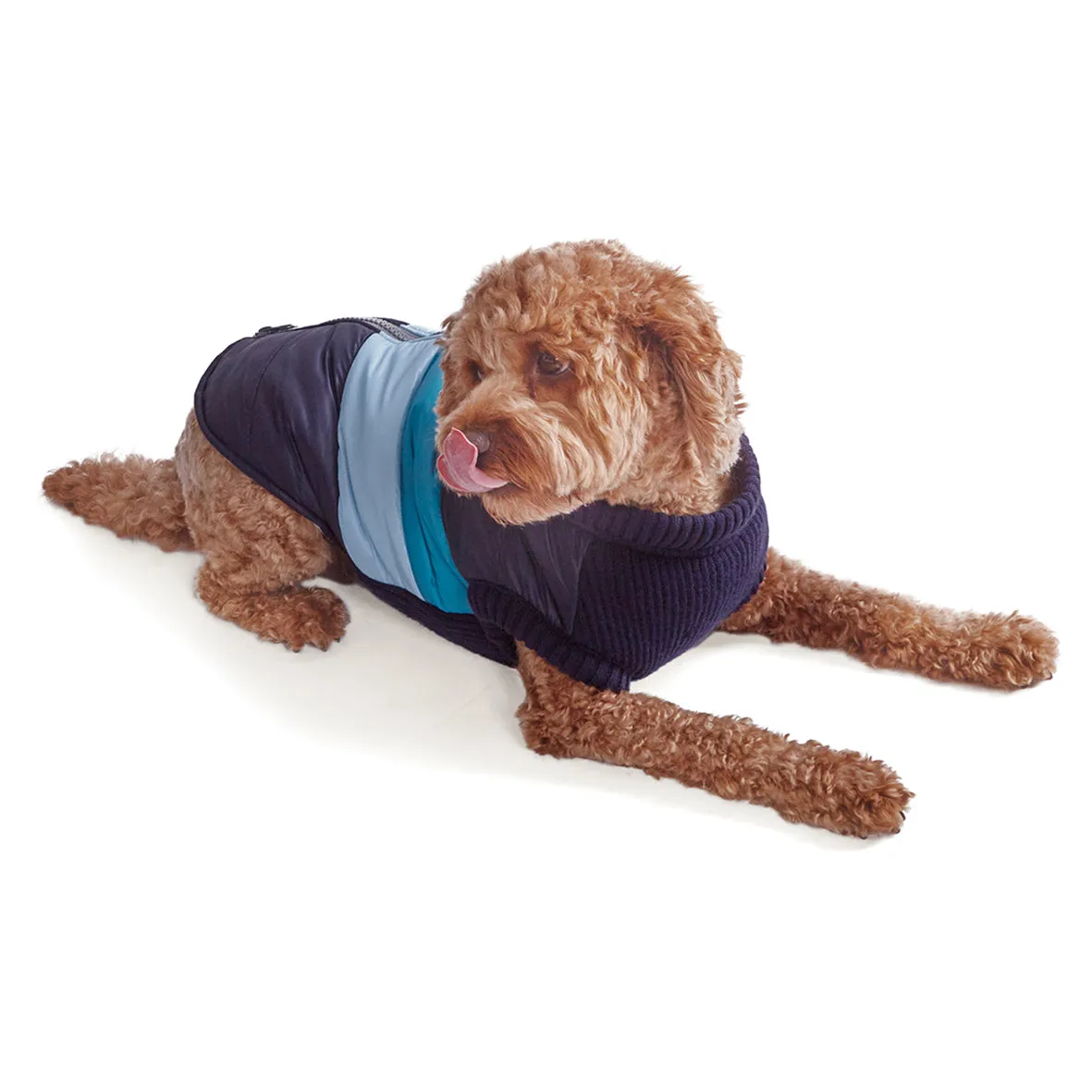 Vovo Dog Puffer Jacket - Sky